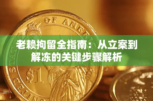 北京老赖拘留全指南：从立案到解冻的关键步骤解析